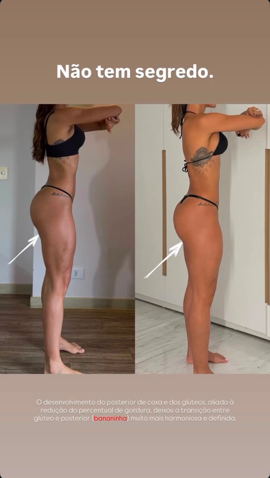 Evolução