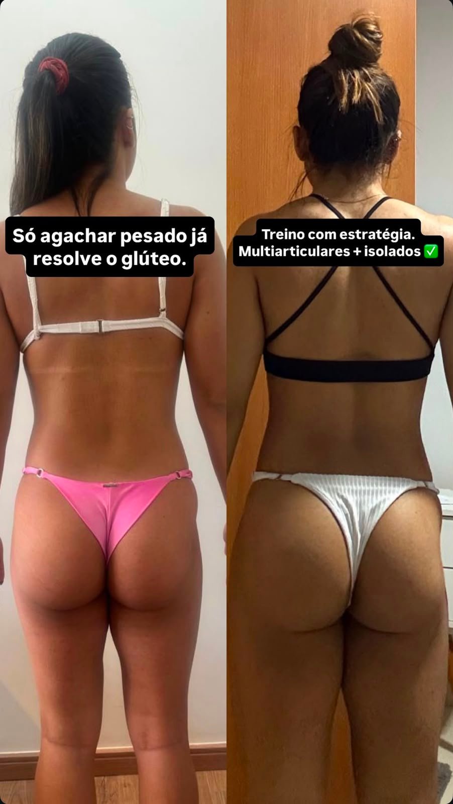 Evolução